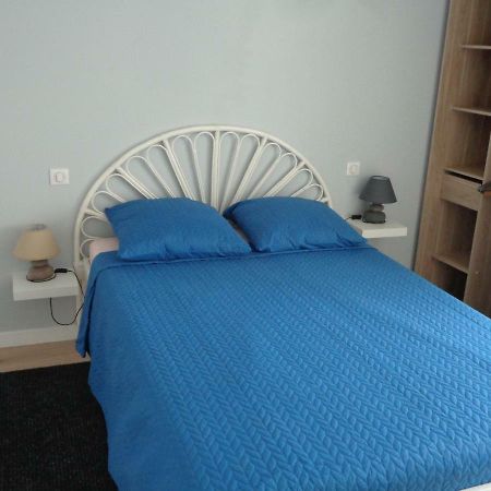 Appartement Independant Le Panassa, Centre Ville, Garage Prive サン・テティエンヌ エクステリア 写真