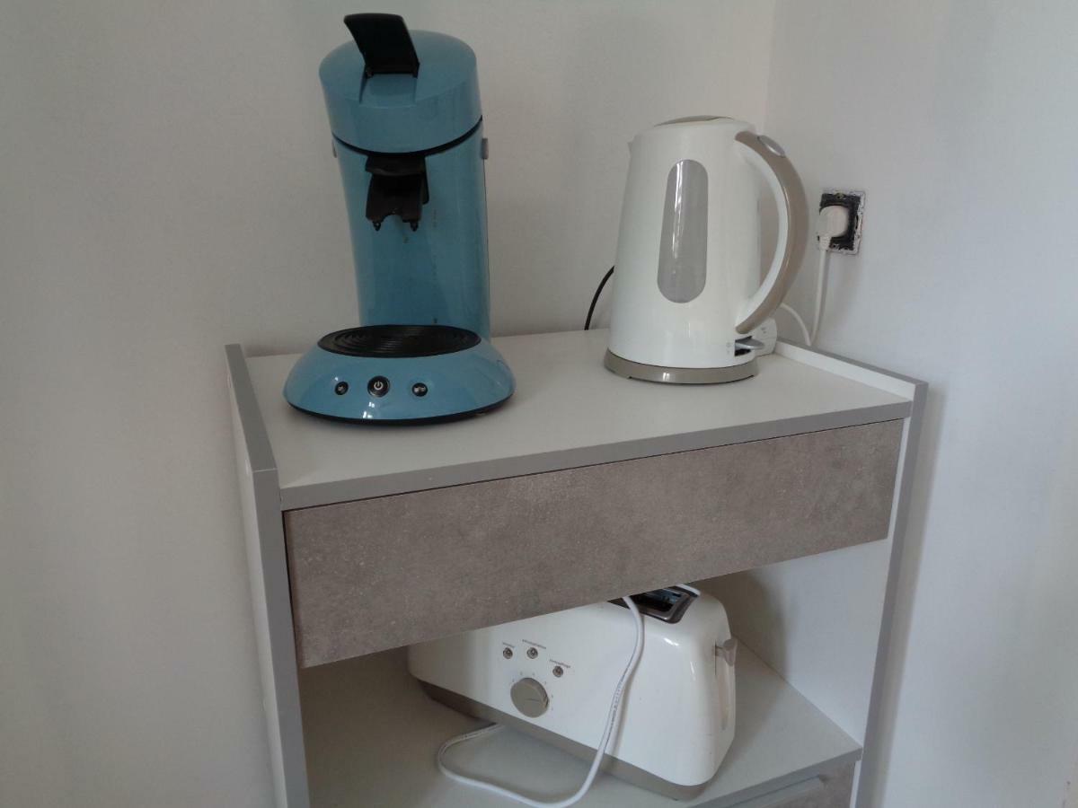 Appartement Independant Le Panassa, Centre Ville, Garage Prive サン・テティエンヌ エクステリア 写真