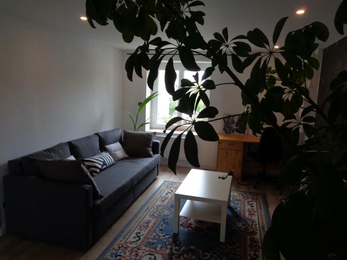 Appartement Independant Le Panassa, Centre Ville, Garage Prive サン・テティエンヌ エクステリア 写真