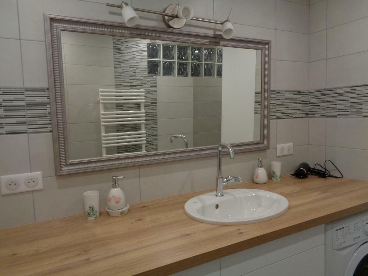 Appartement Independant Le Panassa, Centre Ville, Garage Prive サン・テティエンヌ エクステリア 写真